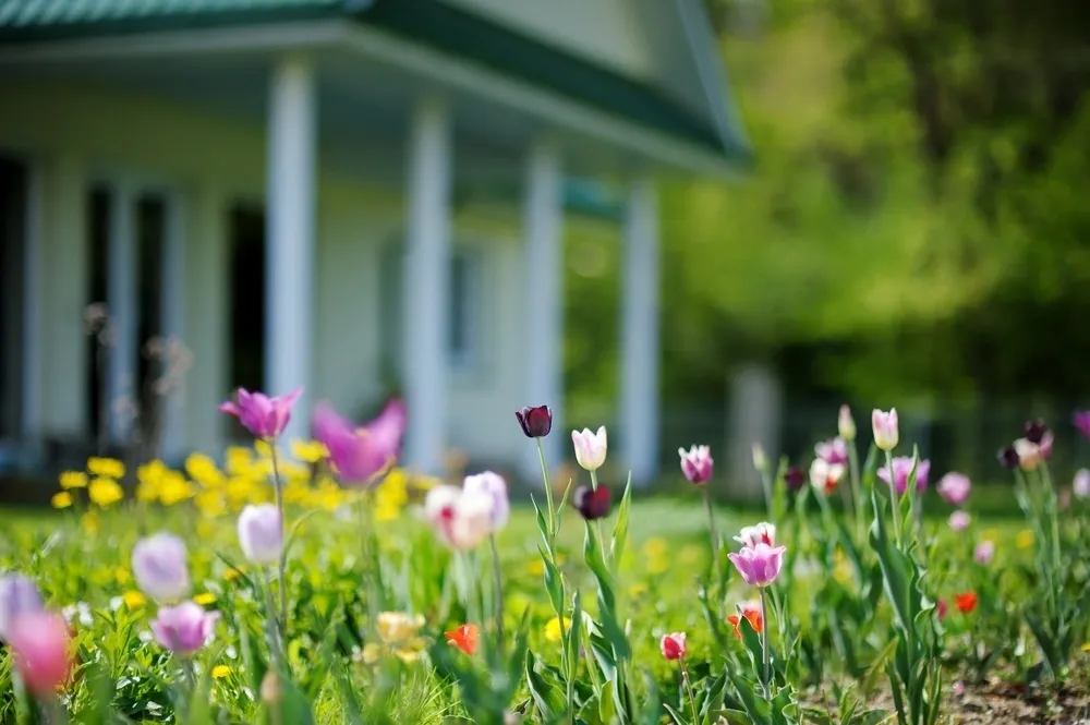 4 Tips to Get Your Home Ready For Spring and Summer